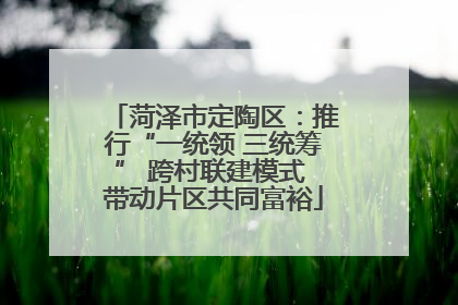 菏泽市定陶区：推行“一统领 三统筹” 跨村联建模式 带动片区共同富裕