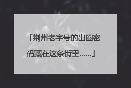 荆州老字号的出圈密码藏在这条街里……