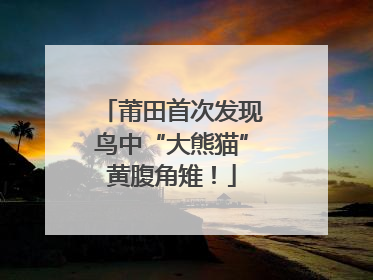 莆田首次发现鸟中“大熊猫”黄腹角雉！