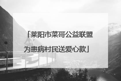 莱阳市菜哥公益联盟为患病村民送爱心款