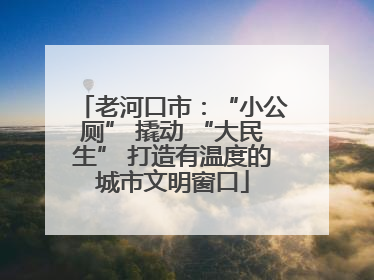 老河口市：“小公厕” 撬动 “大民生” 打造有温度的城市文明窗口