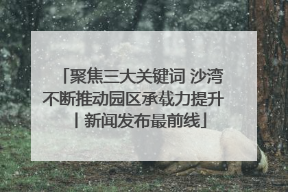 聚焦三大关键词 沙湾不断推动园区承载力提升丨新闻发布最前线