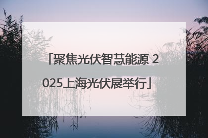 聚焦光伏智慧能源 2025上海光伏展举行