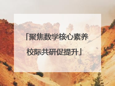 聚焦数学核心素养 校际共研促提升