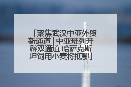 聚焦武汉中亚外贸新通道│中亚班列开辟双通道 哈萨克斯坦饲用小麦将抵鄂