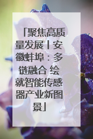 聚焦高质量发展丨安徽蚌埠：多链融合 绘就智能传感器产业新图景