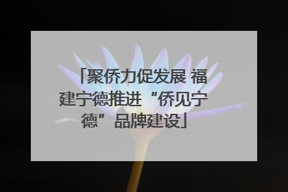 聚侨力促发展 福建宁德推进“侨见宁德”品牌建设