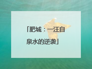 肥城：一汪自泉水的逆袭