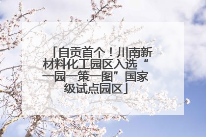 自贡首个！川南新材料化工园区入选“一园一策一图”国家级试点园区