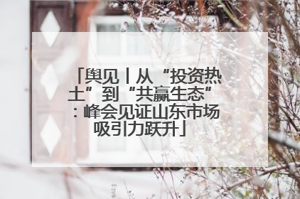 舆见丨从“投资热土”到“共赢生态”：峰会见证山东市场吸引力跃升