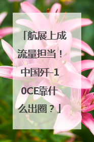 航展上成流量担当！中国歼-10CE靠什么出圈？