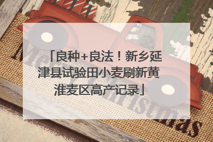 良种+良法！新乡延津县试验田小麦刷新黄淮麦区高产记录