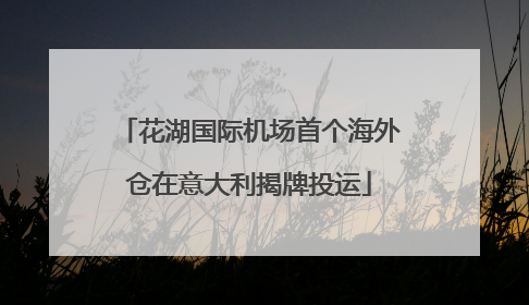 花湖国际机场首个海外仓在意大利揭牌投运