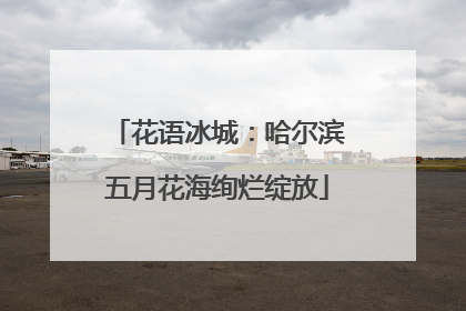 花语冰城：哈尔滨五月花海绚烂绽放