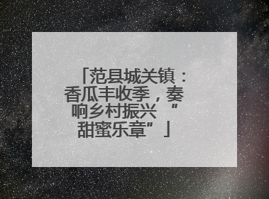 范县城关镇：香瓜丰收季，奏响乡村振兴 “甜蜜乐章”