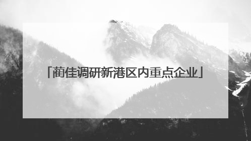 蔺佳调研新港区内重点企业