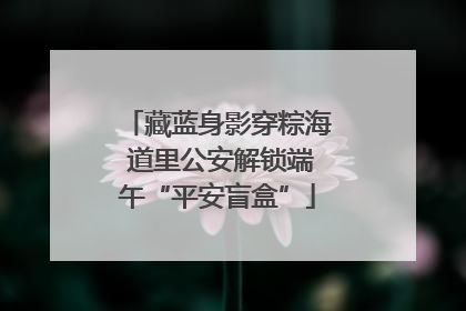 藏蓝身影穿粽海 道里公安解锁端午“平安盲盒”