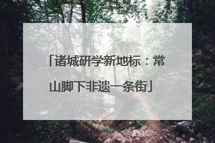 诸城研学新地标：常山脚下非遗一条街