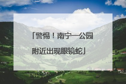 警惕！南宁一公园附近出现眼镜蛇