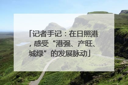 记者手记：在日照港，感受“港强、产旺、城绿”的发展脉动