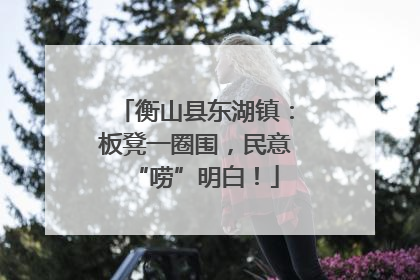 衡山县东湖镇：板凳一圈围，民意“唠”明白！