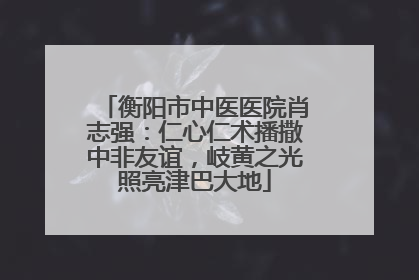 衡阳市中医医院肖志强：仁心仁术播撒中非友谊，岐黄之光照亮津巴大地