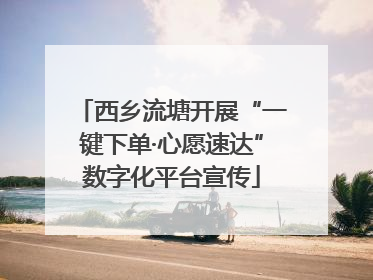 西乡流塘开展“一键下单·心愿速达”数字化平台宣传