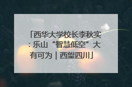 西华大学校长李秋实：乐山“智慧低空”大有可为｜西望四川