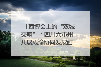 西博会上的“双城交响”：四川六市州共展成渝协同发展画卷｜西博视界