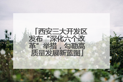 西安三大开发区发布“深化六个改革”举措，勾勒高质量发展新蓝图