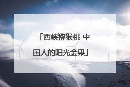 西峡猕猴桃 中国人的阳光金果