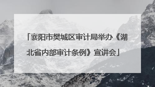 襄阳市樊城区审计局举办《湖北省内部审计条例》宣讲会