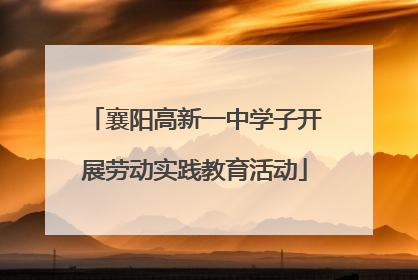 襄阳高新一中学子开展劳动实践教育活动