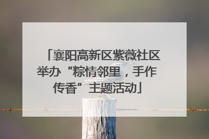 襄阳高新区紫薇社区举办“粽情邻里，手作传香”主题活动