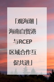 观海潮｜海南自贸港与RCEP区域合作互促共进