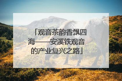 观音茶韵香飘四海——安溪铁观音的产业复兴之路