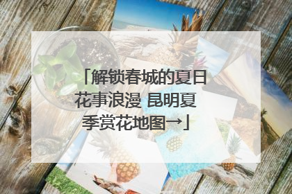 解锁春城的夏日花事浪漫 昆明夏季赏花地图→