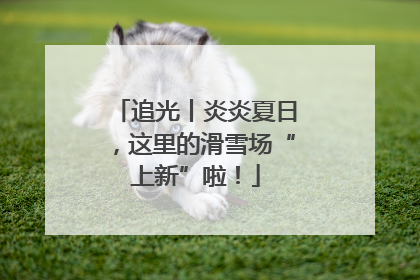追光丨炎炎夏日，这里的滑雪场“上新”啦！