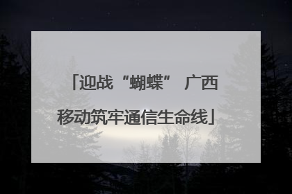 迎战“蝴蝶” 广西移动筑牢通信生命线