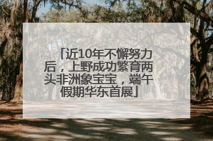 近10年不懈努力后，上野成功繁育两头非洲象宝宝，端午假期华东首展