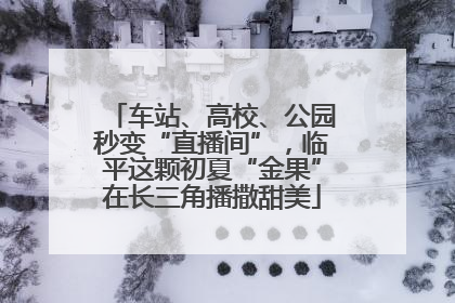 车站、高校、公园秒变“直播间”，临平这颗初夏“金果”在长三角播撒甜美