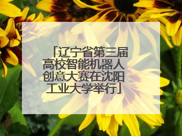 辽宁省第三届高校智能机器人创意大赛在沈阳工业大学举行