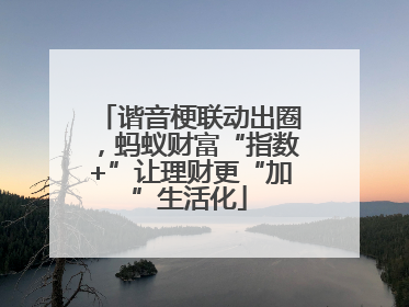 谐音梗联动出圈，蚂蚁财富“指数+”让理财更“加”生活化