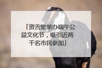 资善堂举办端午公益文化节，吸引近两千名市民参加
