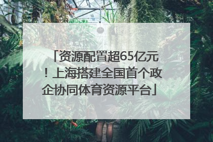 资源配置超65亿元！上海搭建全国首个政企协同体育资源平台