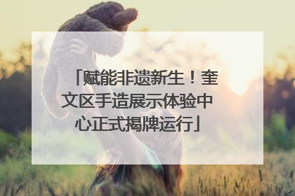 赋能非遗新生！奎文区手造展示体验中心正式揭牌运行