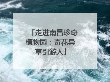 走进南昌珍奇植物园：奇花异草引游人