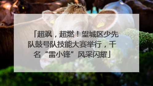 超飒，超燃！望城区少先队鼓号队技能大赛举行，千名“雷小锋”风采闪耀