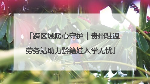 跨区域暖心守护｜贵州驻温劳务站助力黔籍娃入学无忧