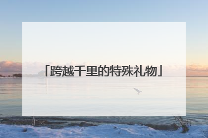 跨越千里的特殊礼物